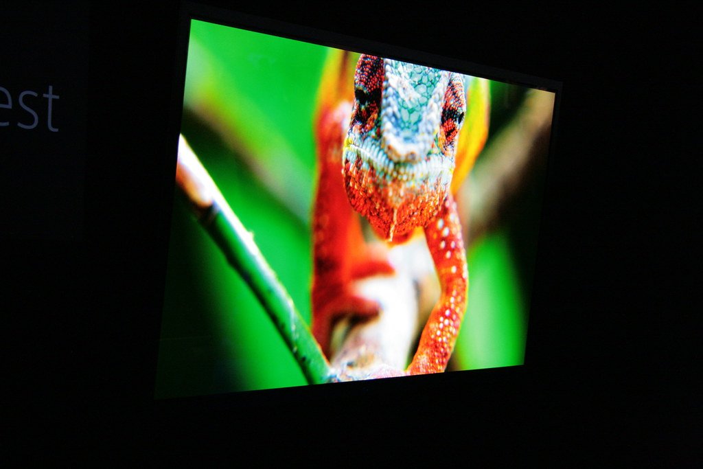 An OLED television showing a colorful picture (tv price increase)